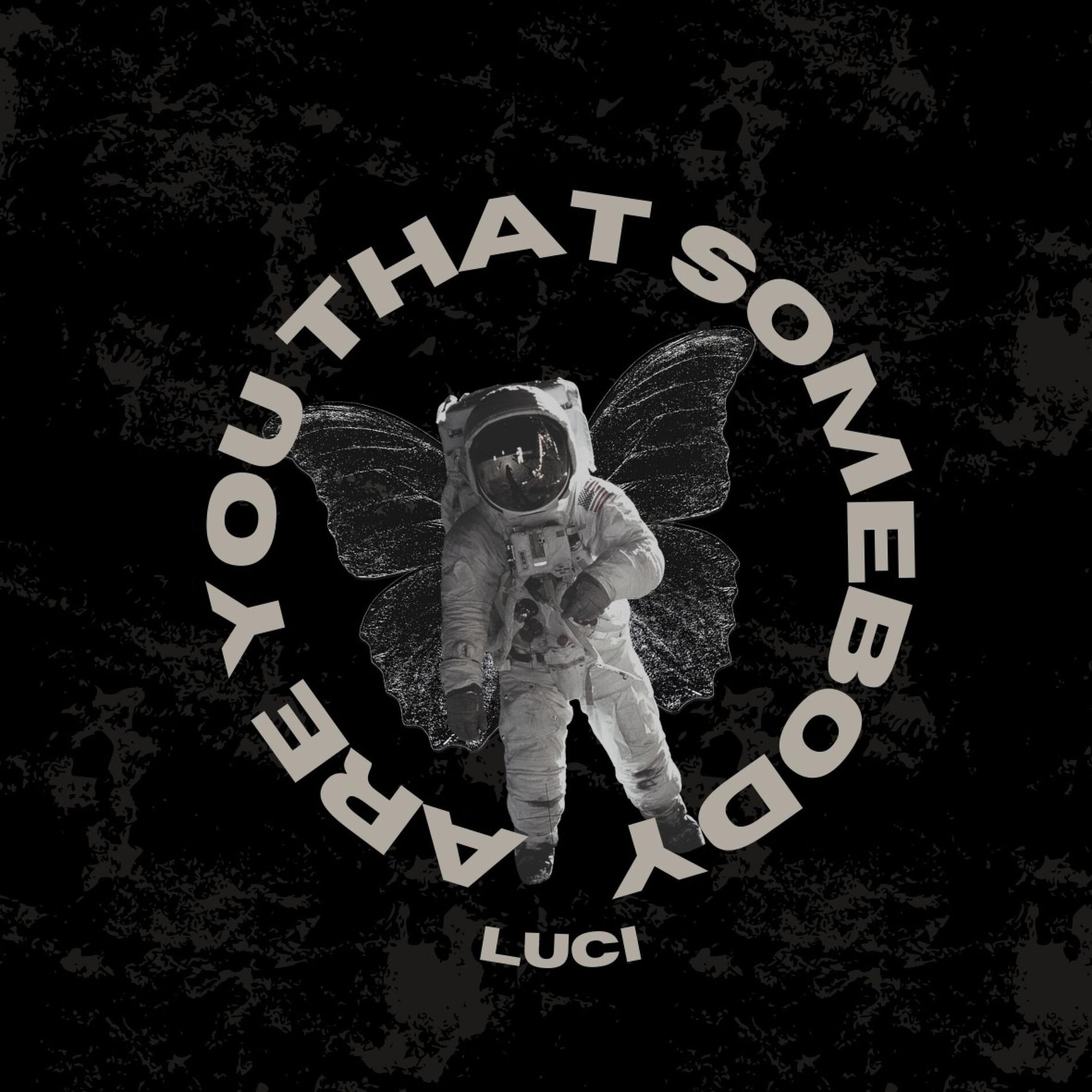 Album cover of Are You That Somebody x Luci (feat. Kreayshawn)