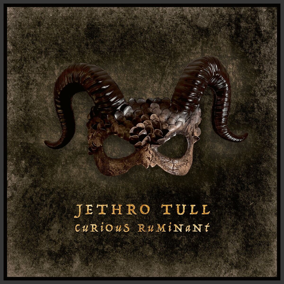 Album cover of Curious Ruminant