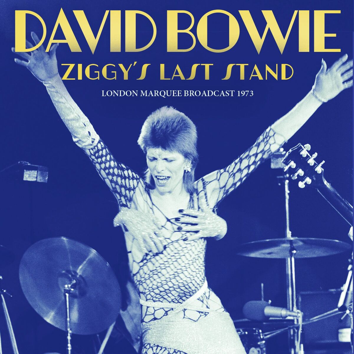 Album cover of Ziggy's Last Stand