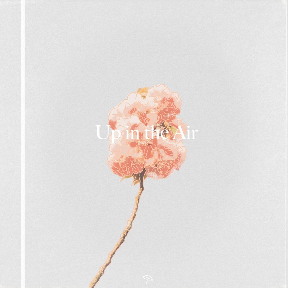 Picture of Up in the Air
