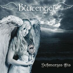 Cover of Schwarzes Eis