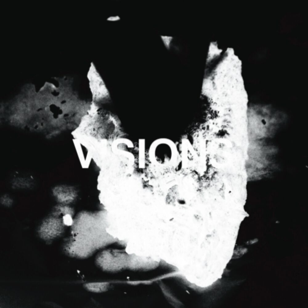 Picture of Visions