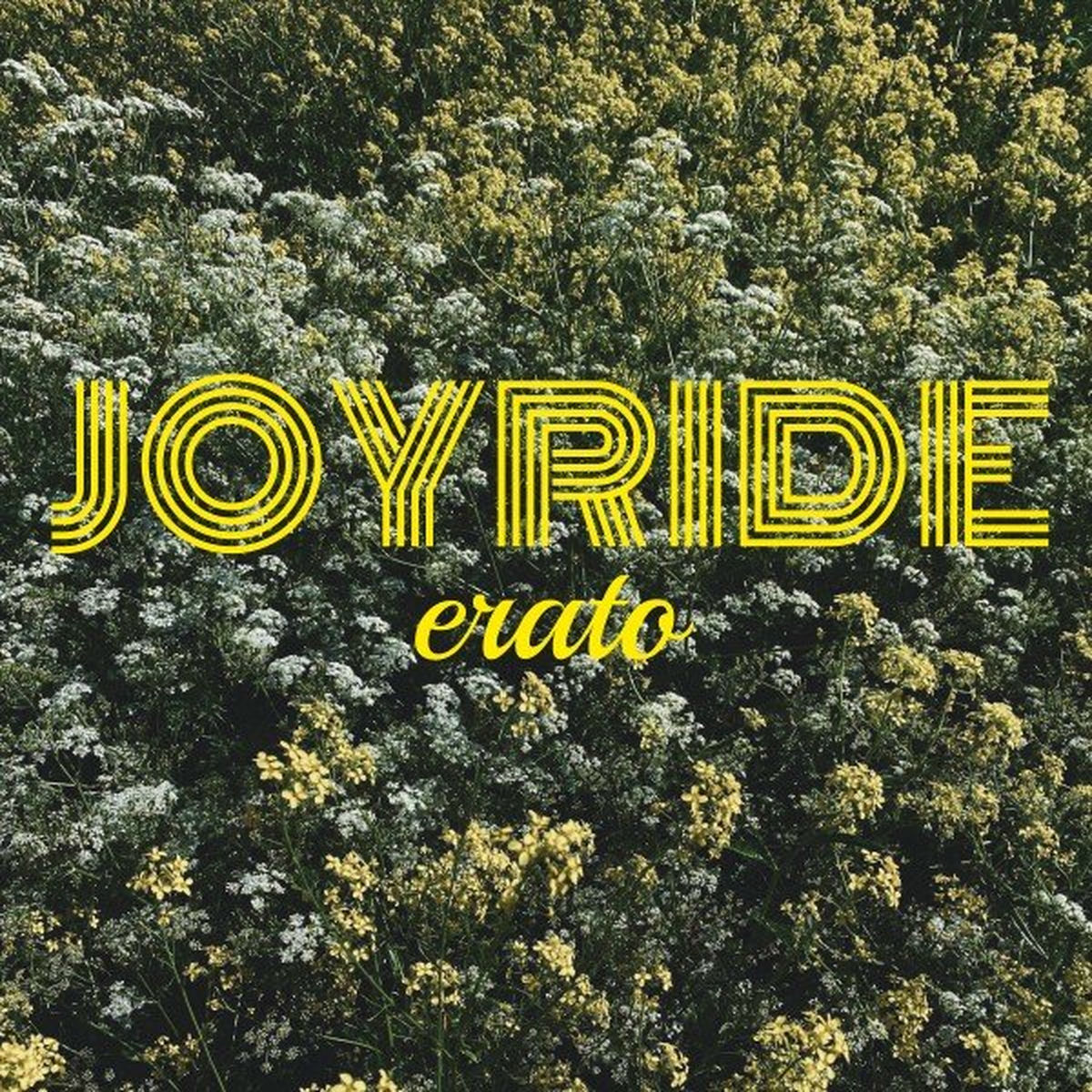 Album cover of Joyride