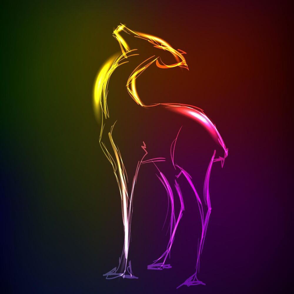 Picture of Doe