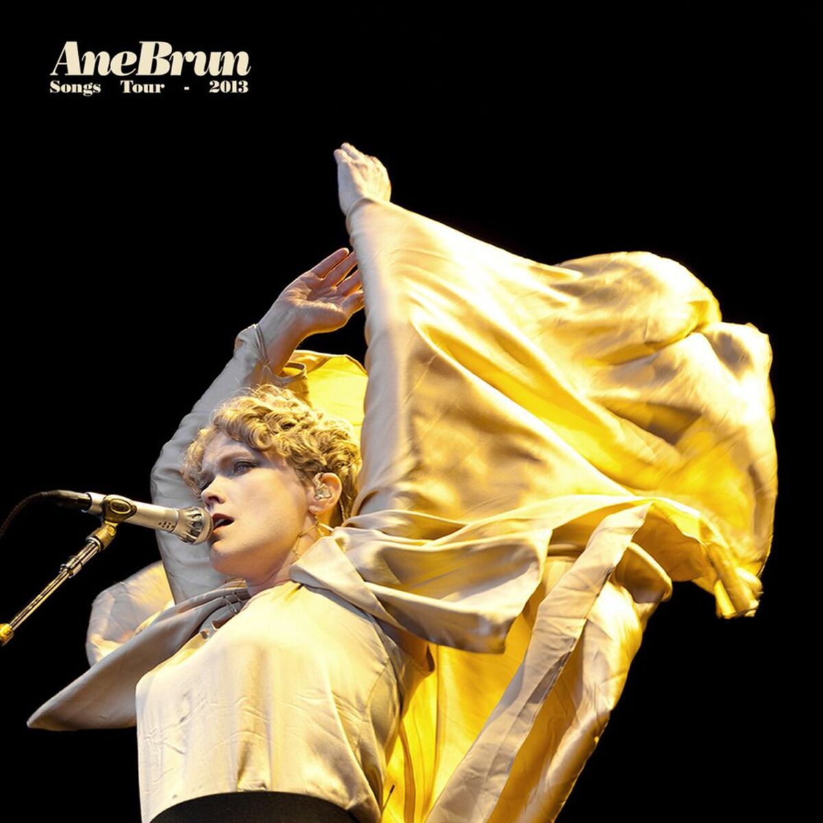 Album cover of Songs Tour 2013 (Live)