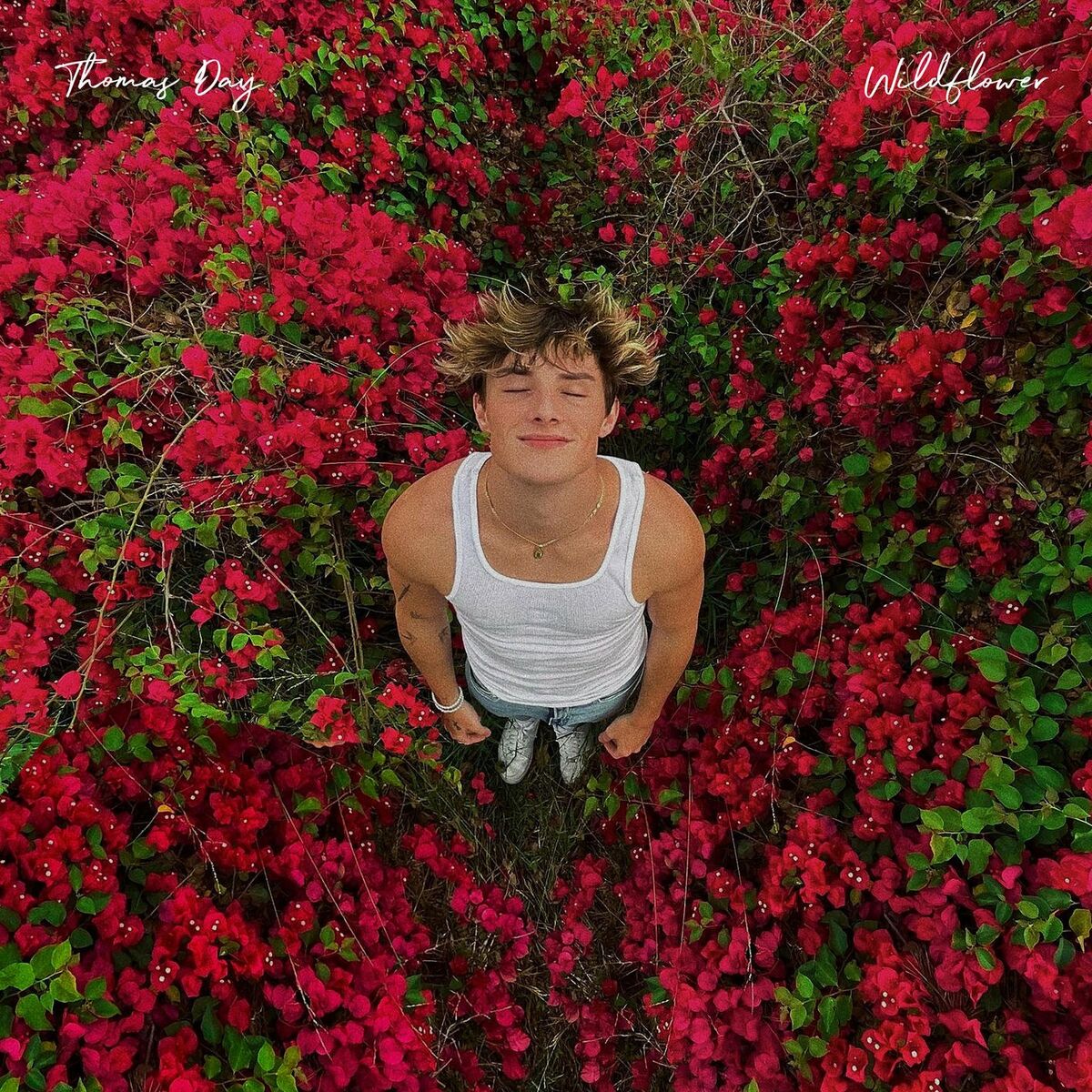 Album cover of Wildflower