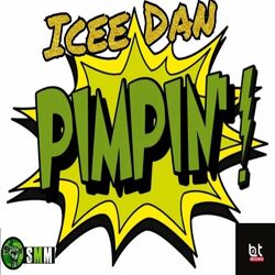 Cover of Pimpin