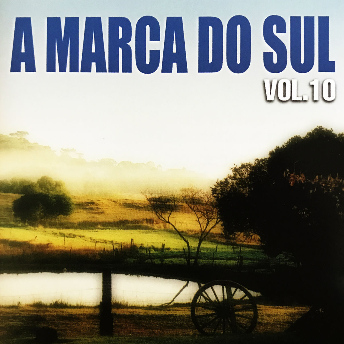 Album cover of A Marca do Sul, Vol. 10