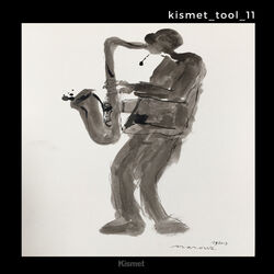Cover of Kismet_tool_11