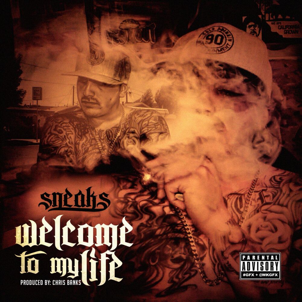 Picture of Welcome to My Life - Single