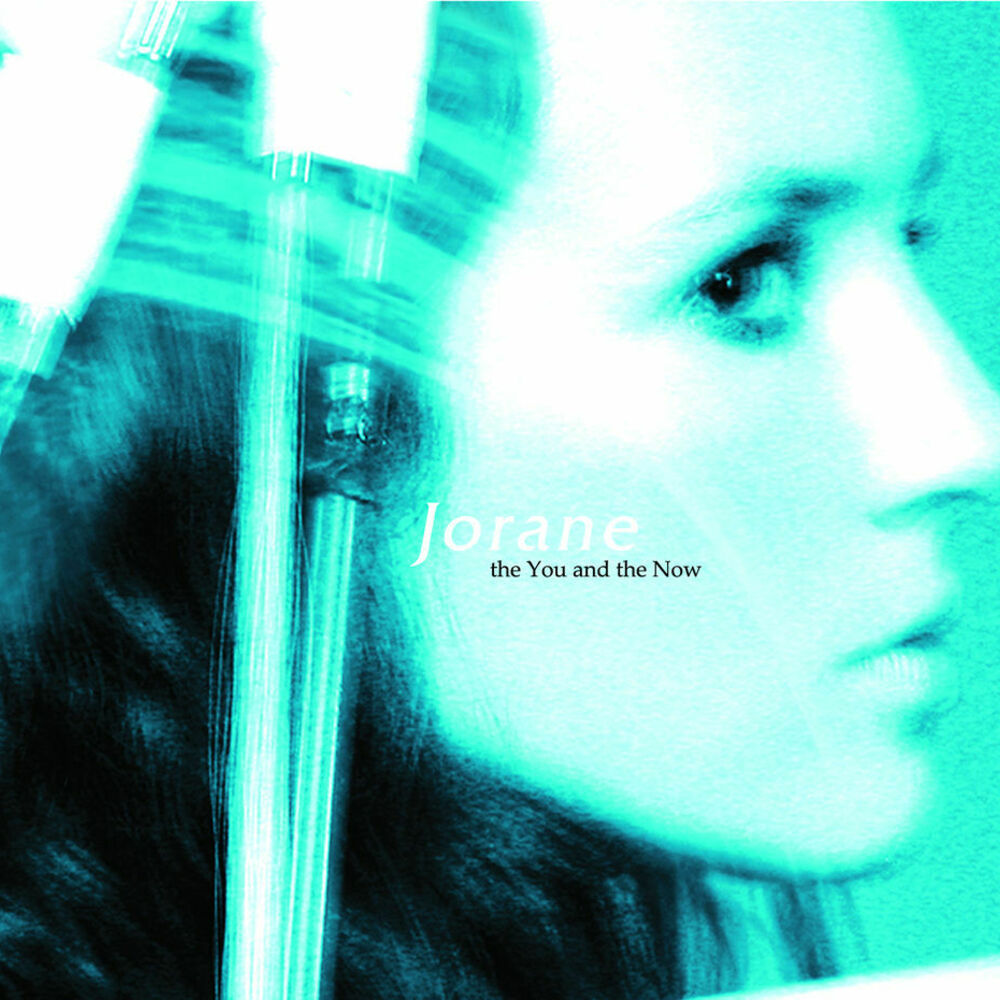 Picture of The You and the Now