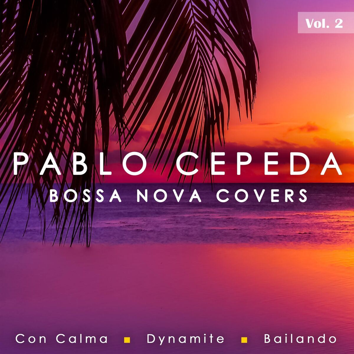 Album cover of Bossa Nova Covers Vol. 2