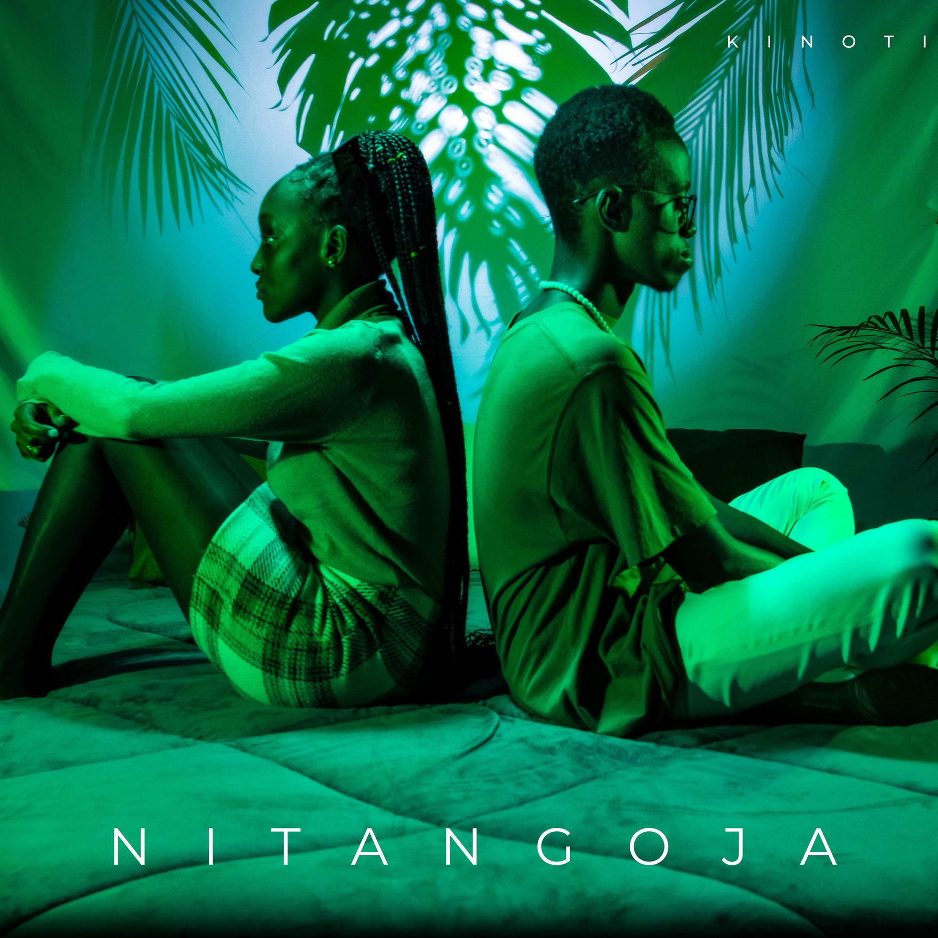 Album cover of Nitangoja