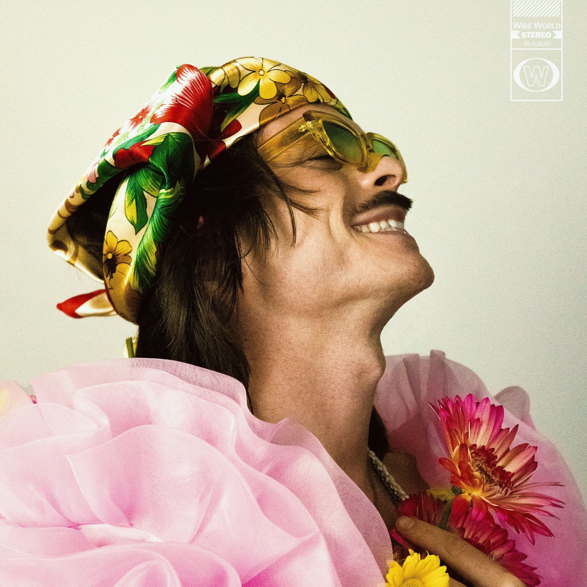 Album cover of wibe world