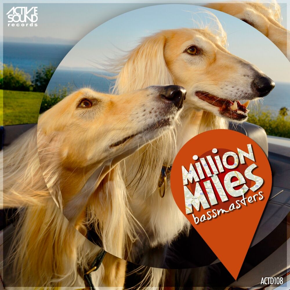 Picture of Million Miles
