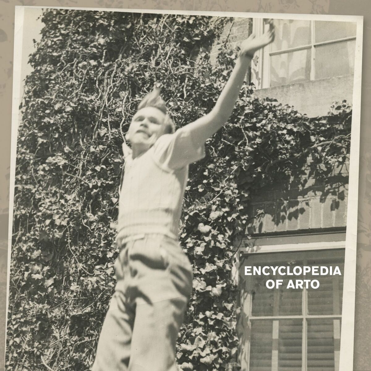 Album cover of Encyclopedia of Arto