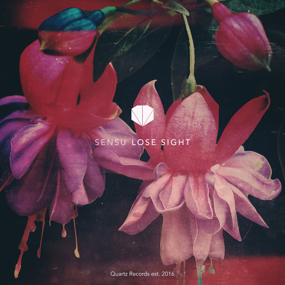 Picture of Lose Sight