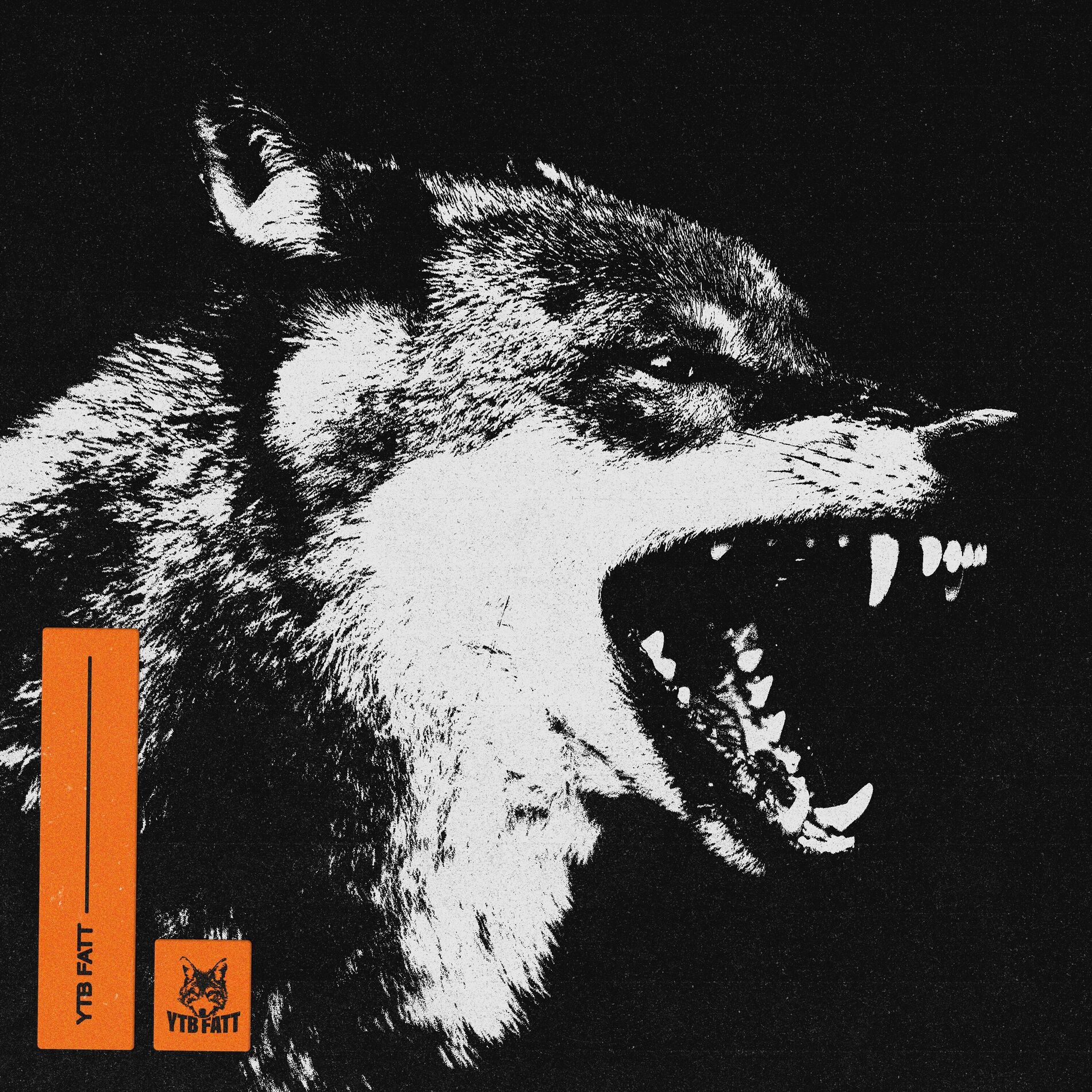 Album cover of Fox Prelude