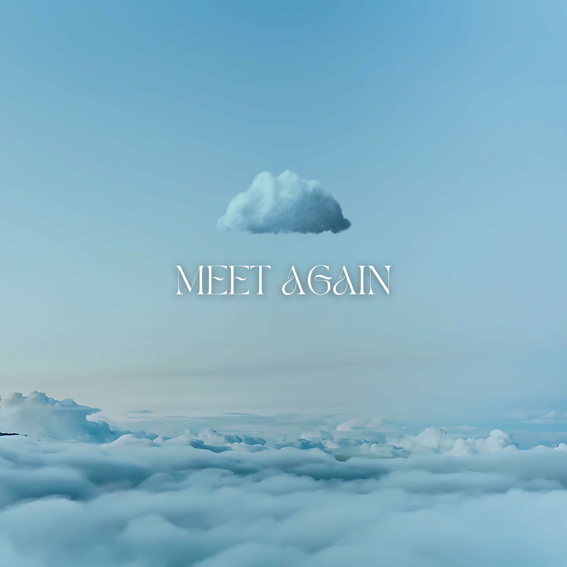 Album cover of Meet Again