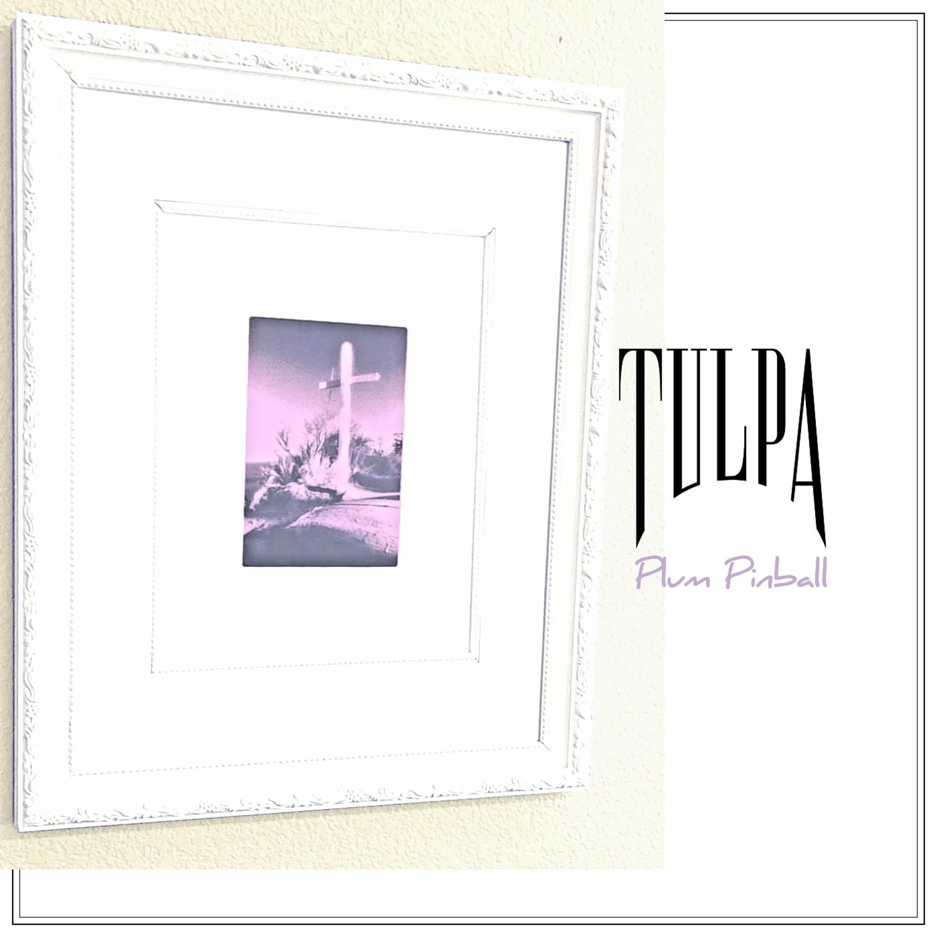 Album cover of Plum Pinball