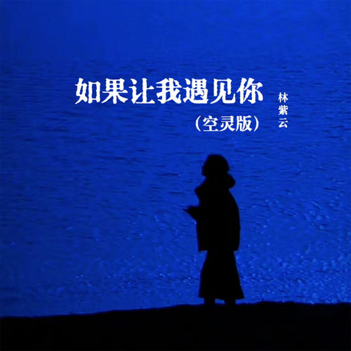 如果让我遇见你 (空灵版)
