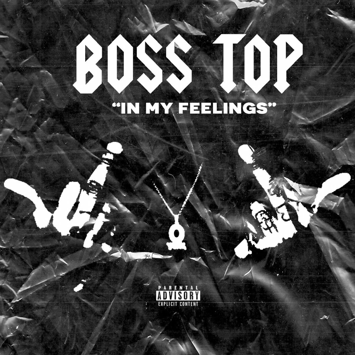 Album cover of In My Feelings