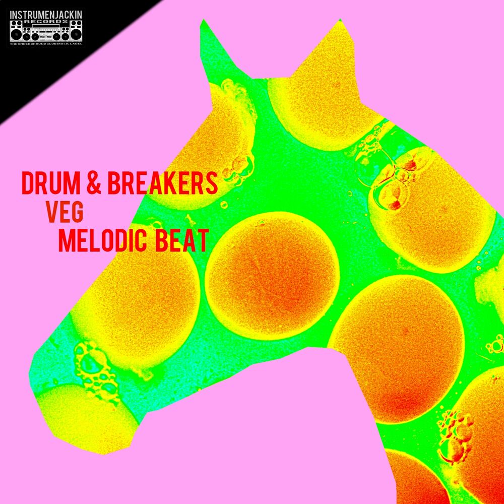 Picture of Melodic Beat