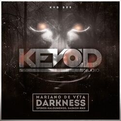 Cover of Darkness