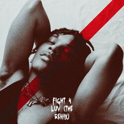 Cover of Fight 4 Luv