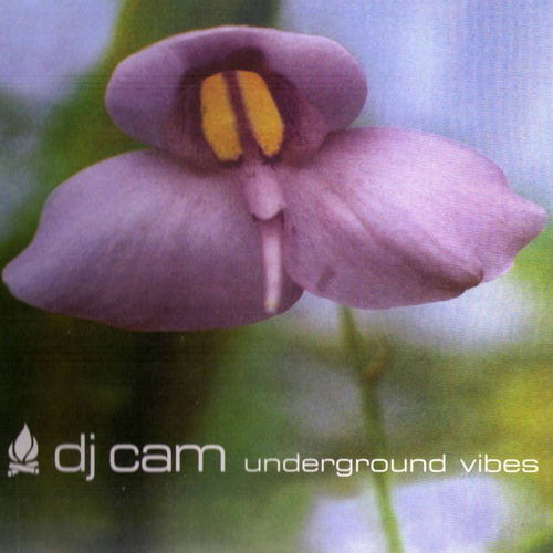 Mad Blunted Jazz by DJ Cam - 82 BPM