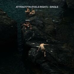 Cover of attraction (feels right)