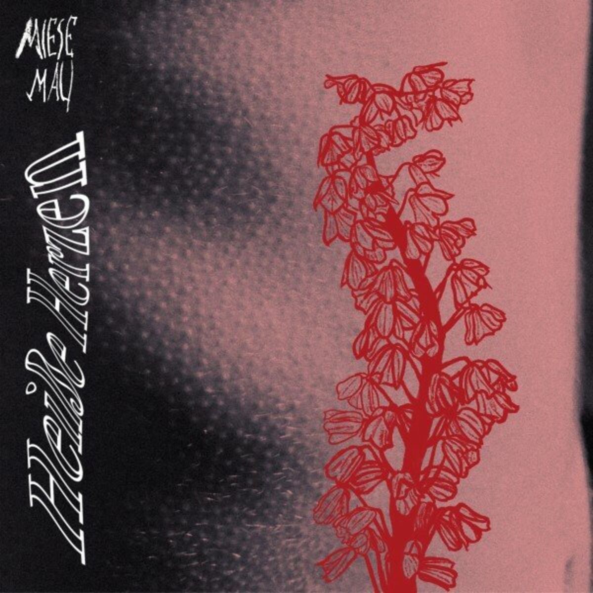 Album cover of Heiße Herzen