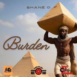 Cover of Burden