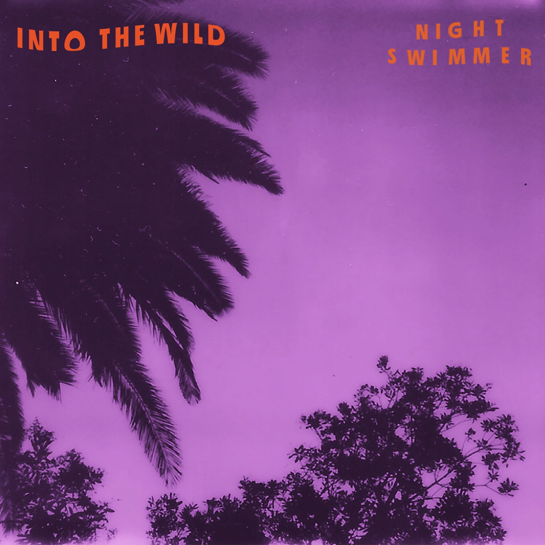 Album cover of Into the Wild