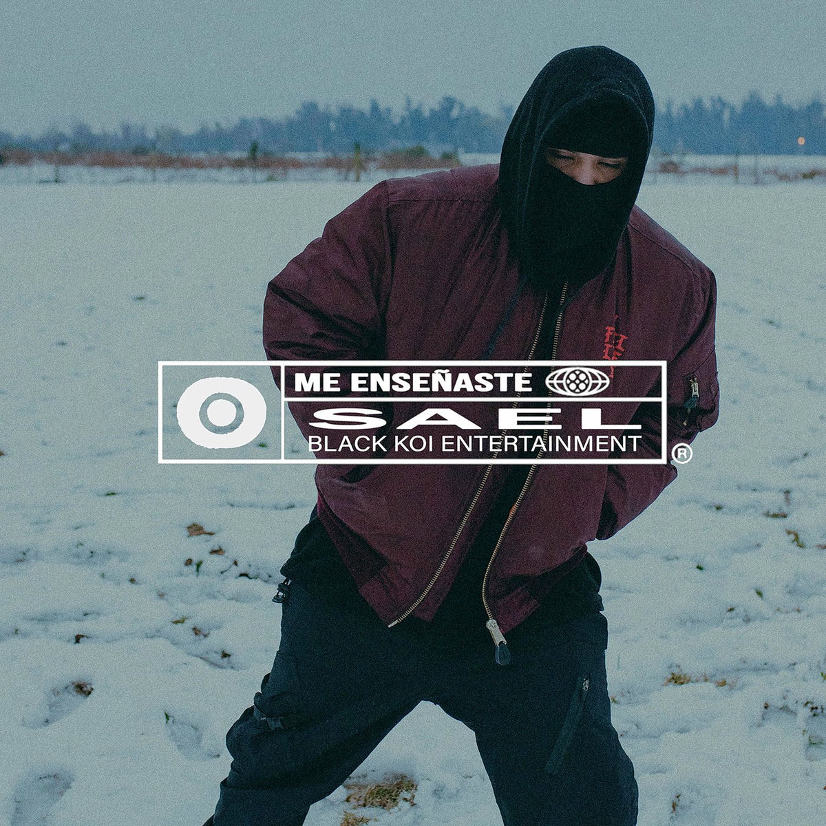 Album cover of Me Enseñaste