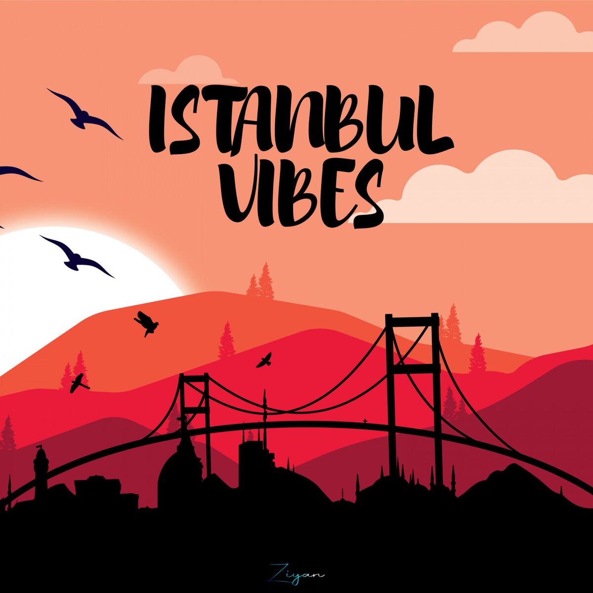 Album cover of Istanbul Vibes