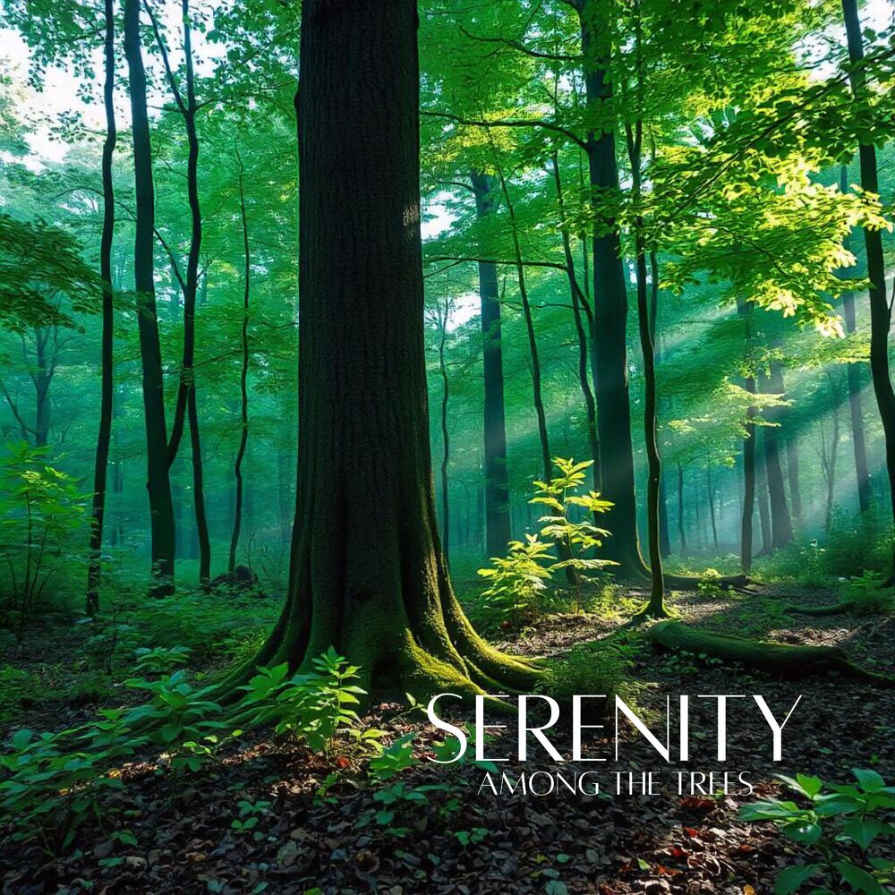 Picture of Serenity Among the Trees: Inner Calm, Stress Relief Forest, Healing Vibes, Nature Reconnect