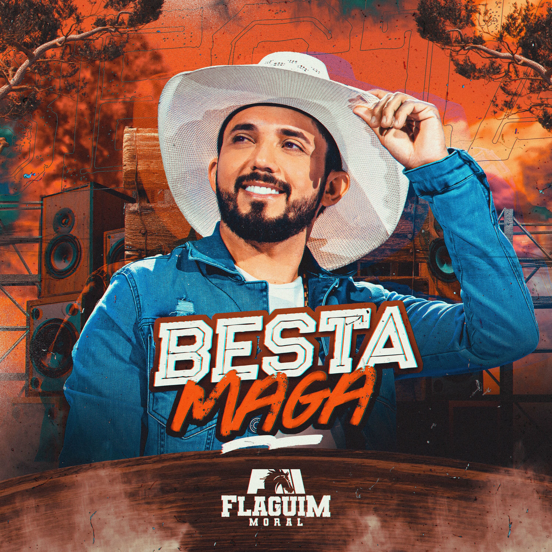 Album cover of Besta Maga