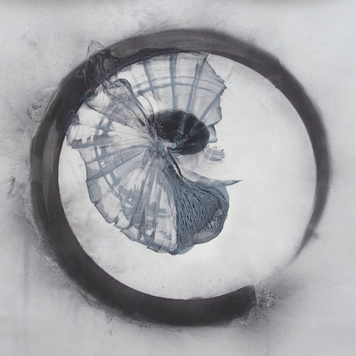 Album cover of Refractions