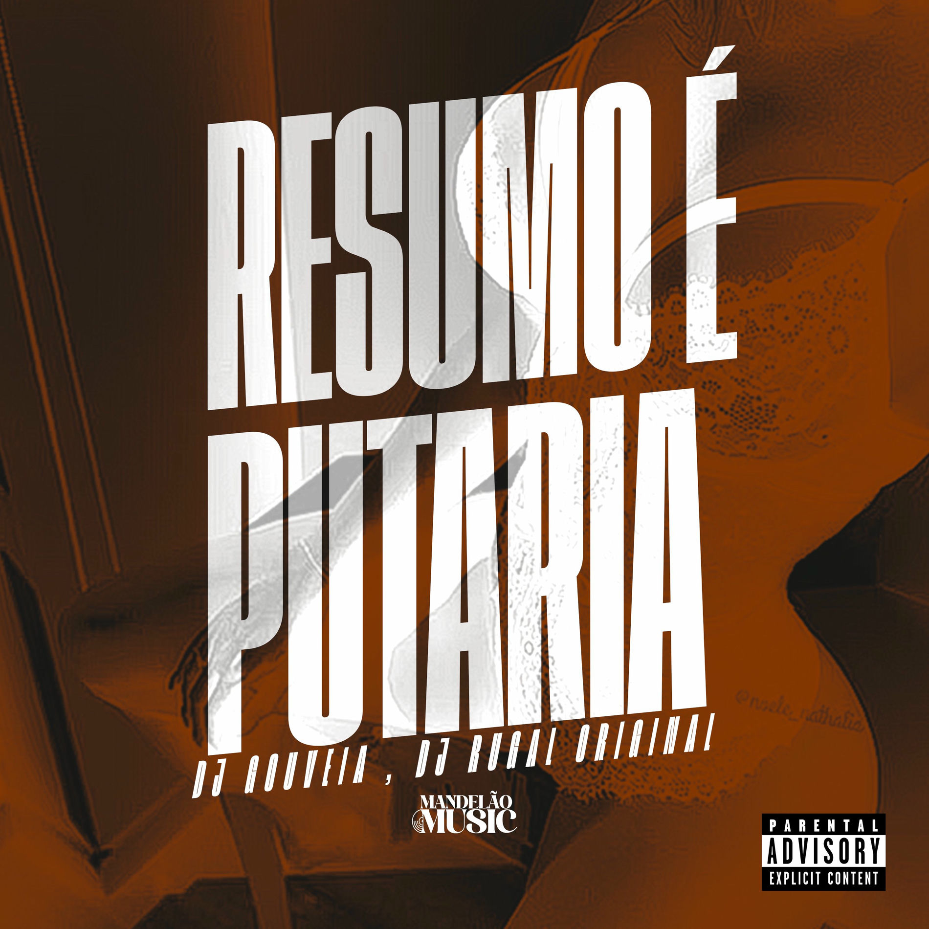 Album cover of Resumo É Putaria