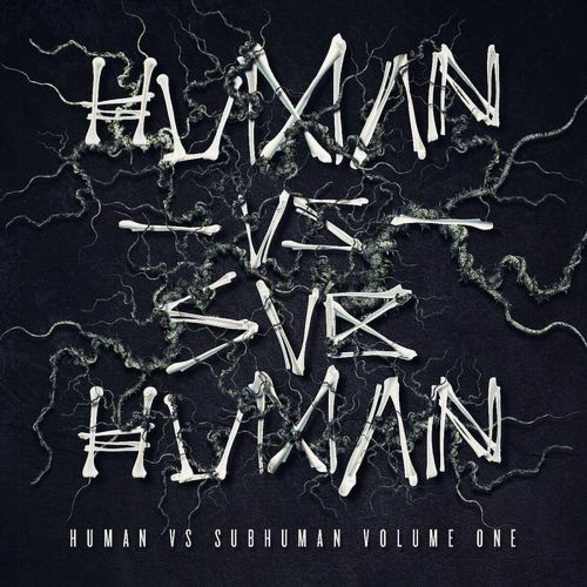 Album cover of Human Vs Subhuman
