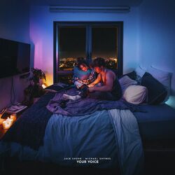 Cover of Your Voice