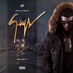 Pochette album