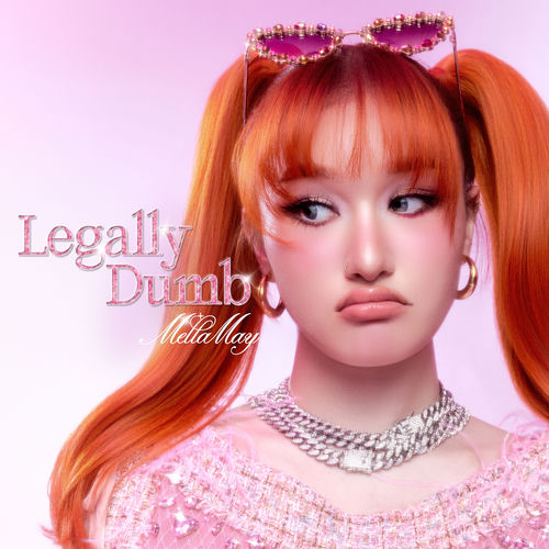 Legally Dumb