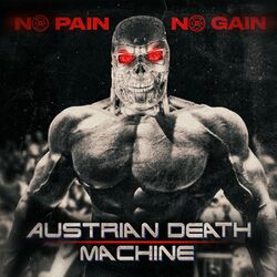 Cover of No Pain No Gain