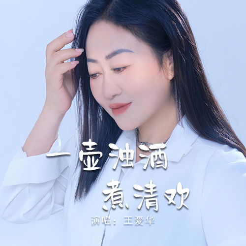 一壶浊酒煮清欢
