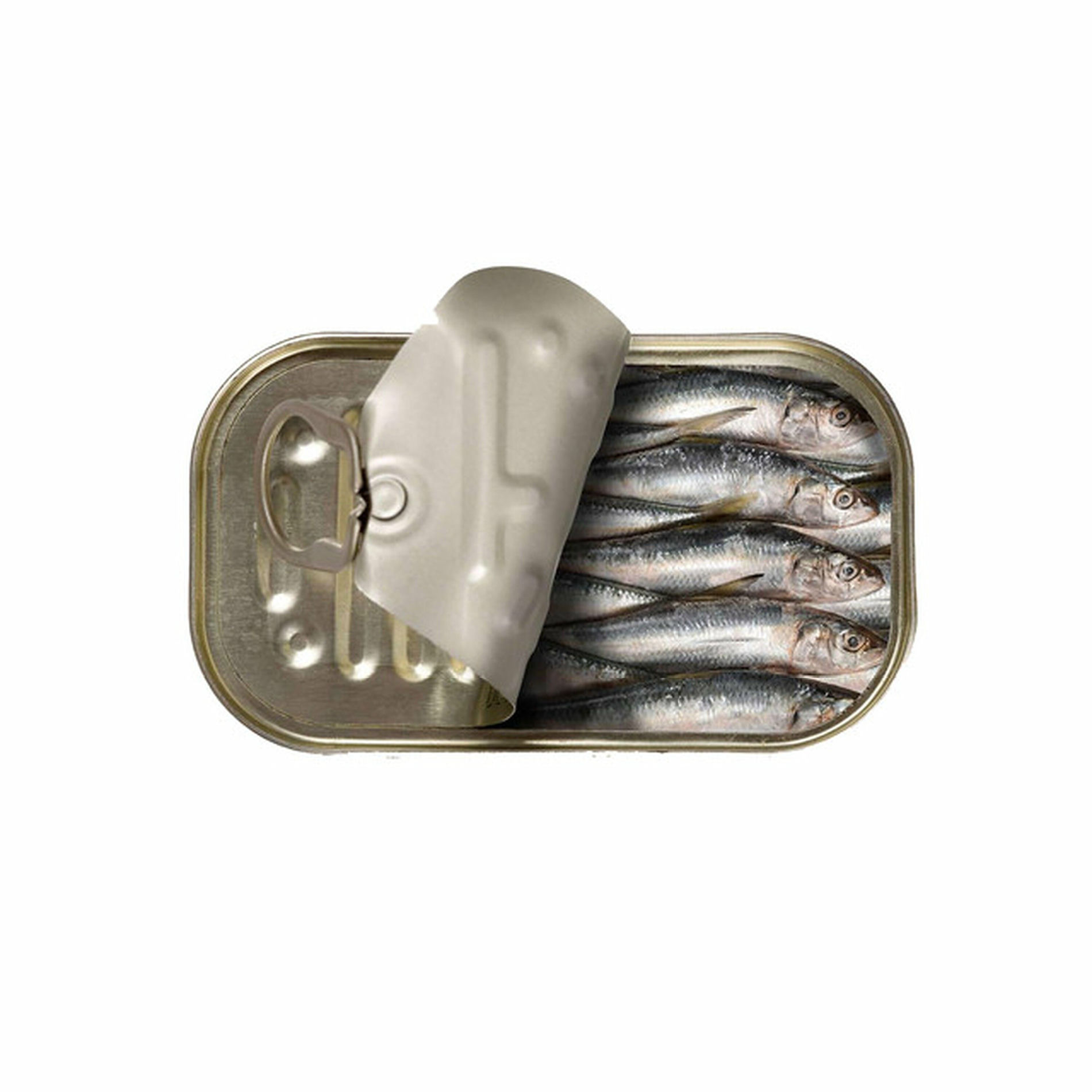 Album cover of Long Sardine