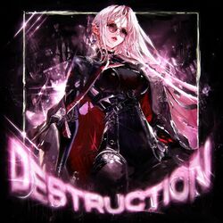 Cover of DESTRUCTION