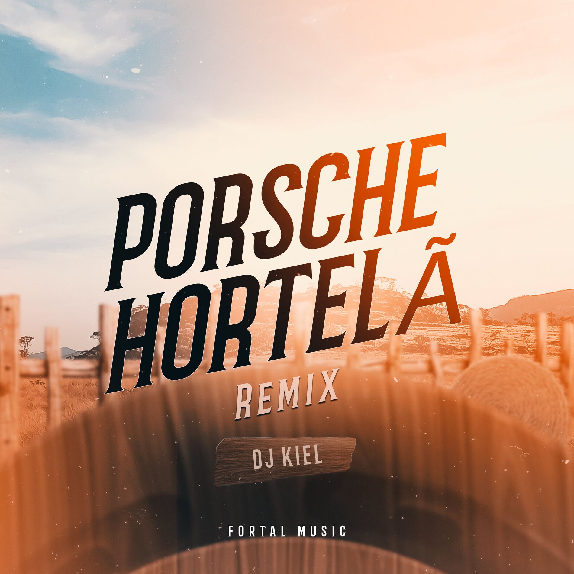 Album cover of Porsche Hortelã (Remix)