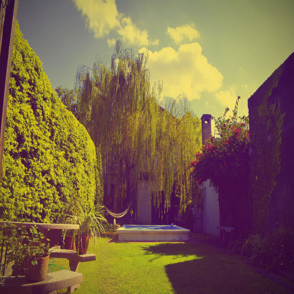 Picture of El Jardinero
